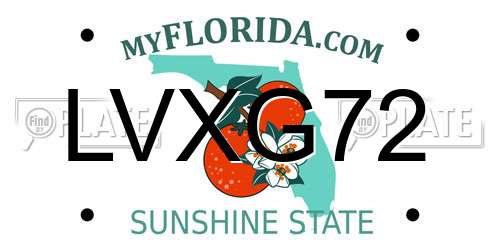 LVXG72 Florida License Plate