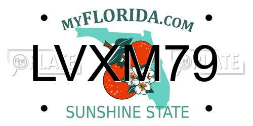 LVXM79 Florida License Plate