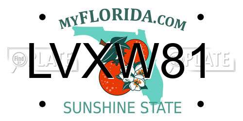 LVXW81 Florida License Plate