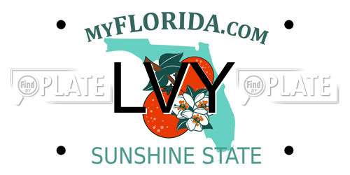 LVY Florida License Plate