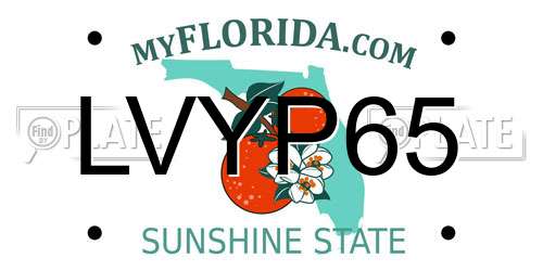 LVYP65 Florida License Plate