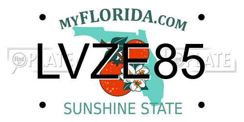 LVZE85 Florida License Plate