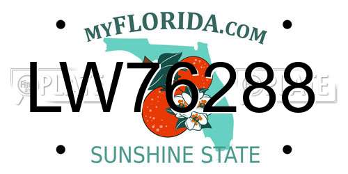 LW76288 Florida License Plate