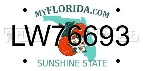 LW76693 Florida License Plate