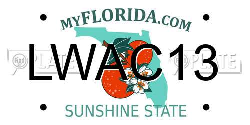 LWAC13 Florida License Plate