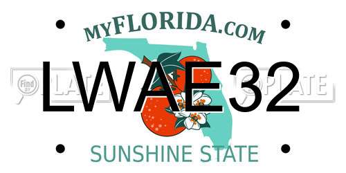 LWAE32 Florida License Plate