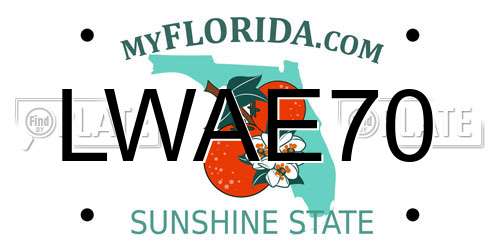 LWAE70 Florida License Plate