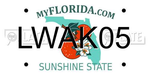 LWAK05 Florida License Plate