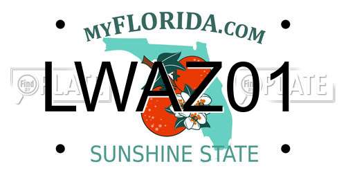 LWAZ01 Florida License Plate