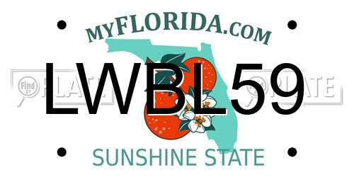 LWBL59 Florida License Plate