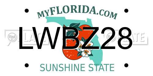 LWBZ28 Florida License Plate