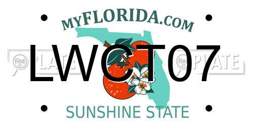LWCT07 Florida License Plate
