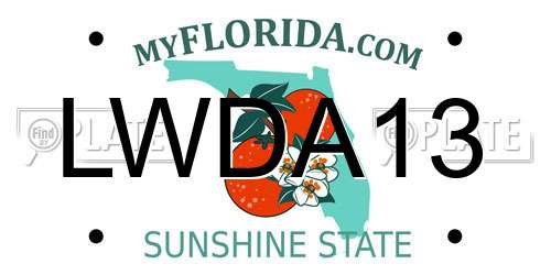 LWDA13 Florida License Plate