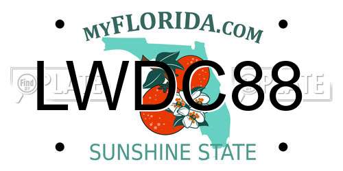 LWDC88 Florida License Plate