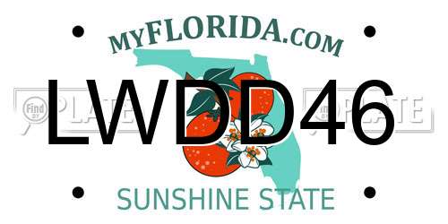 LWDD46 Florida License Plate