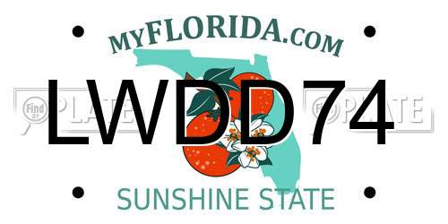LWDD74 Florida License Plate