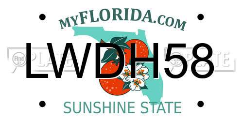 LWDH58 Florida License Plate