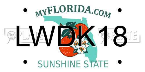 LWDK18 Florida License Plate