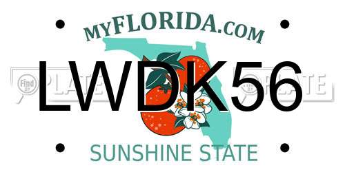 LWDK56 Florida License Plate