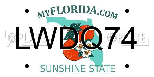 LWDQ74 Florida License Plate
