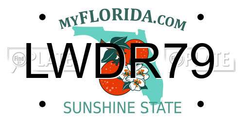 LWDR79 Florida License Plate