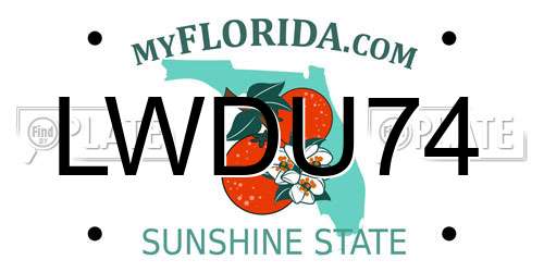 LWDU74 Florida License Plate