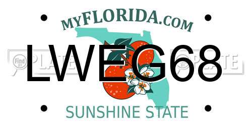 LWEG68 Florida License Plate