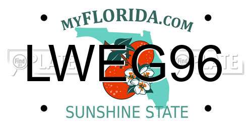 LWEG96 Florida License Plate