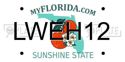 LWEH12 Florida License Plate