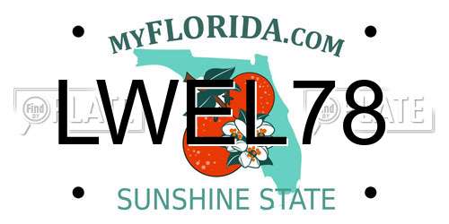 LWEL78 Florida License Plate