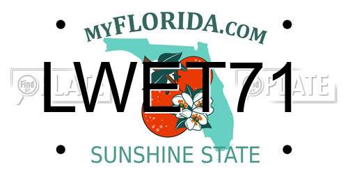 LWET71 Florida License Plate