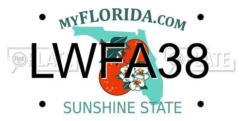LWFA38 Florida License Plate