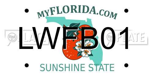 LWFB01 Florida License Plate