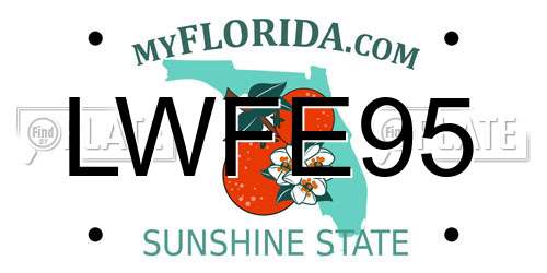 LWFE95 Florida License Plate