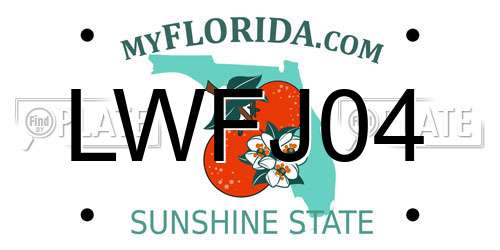 LWFJ04 Florida License Plate