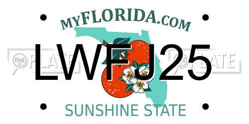 LWFJ25 Florida License Plate