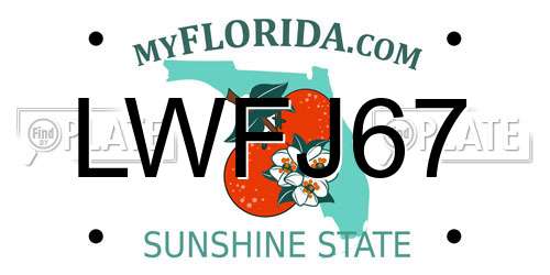 LWFJ67 Florida License Plate
