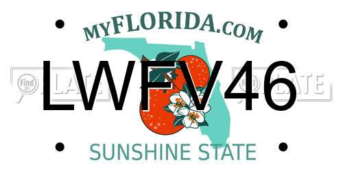 LWFV46 Florida License Plate