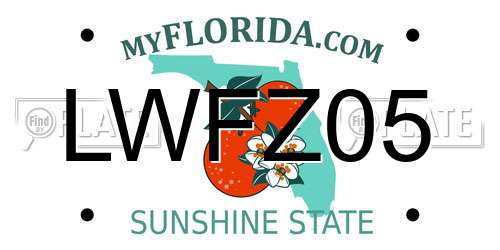 LWFZ05 Florida License Plate