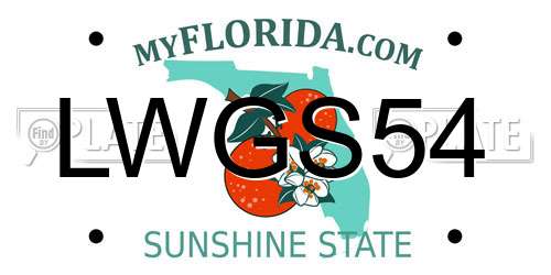 LWGS54 Florida License Plate