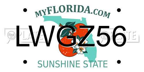 LWGZ56 Florida License Plate