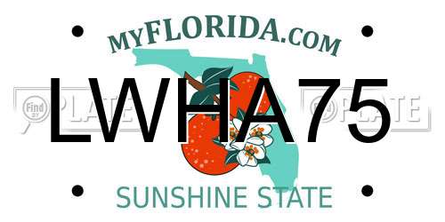 LWHA75 Florida License Plate