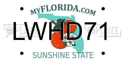LWHD71 Florida License Plate