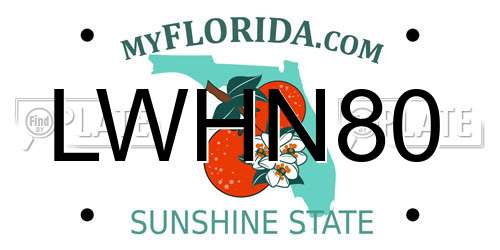 LWHN80 Florida License Plate