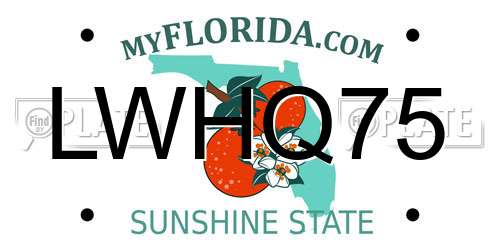 LWHQ75 Florida License Plate