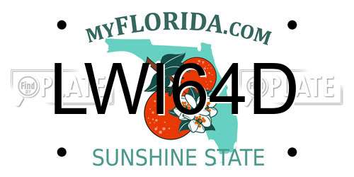 LWI64D Florida License Plate