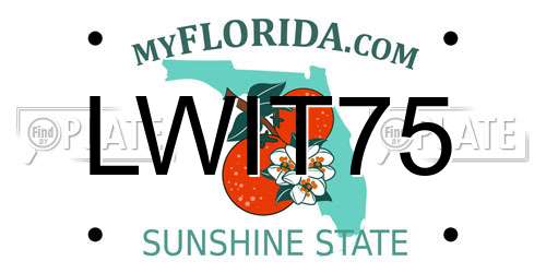 LWIT75 Florida License Plate