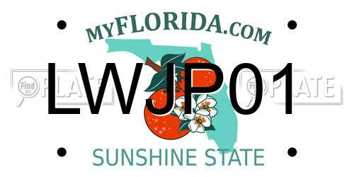 LWJP01 Florida License Plate