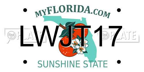 LWJT17 Florida License Plate