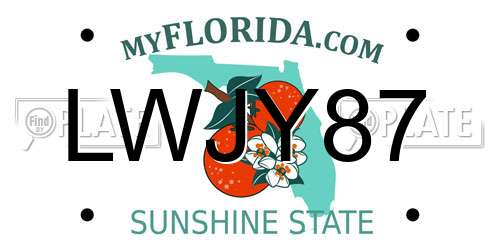 LWJY87 Florida License Plate